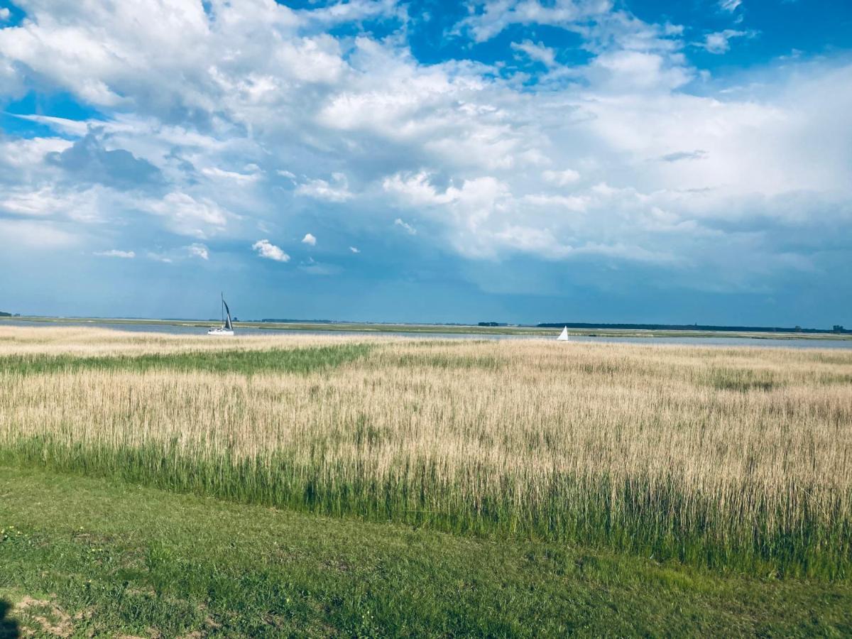 FEWO VI Villa Nicole Hafenstraße 37 Zingst Esterno foto